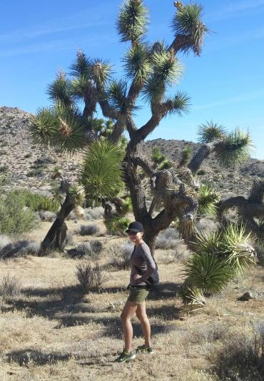 Joshua Tree National Park