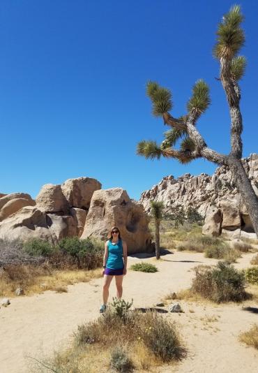 Joshua Tree National Park